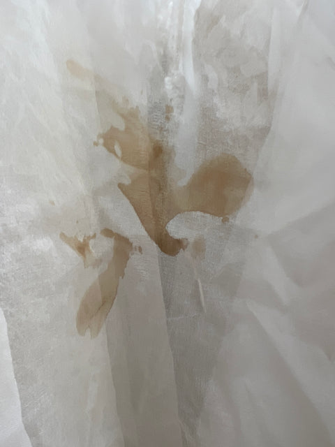 C / Marisa 10 Size 10